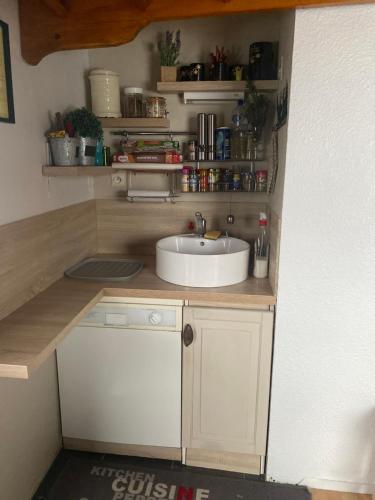 une petite cuisine avec un évier et un comptoir dans l'établissement Les blanches aiguilles, aux Carroz d'Arâches