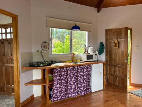 a kitchen with a counter with a microwave on it at Casa Ganesha Lago Puelo in Lago Puelo