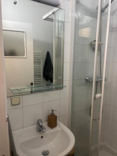 une salle de bain avec un lavabo et une douche en verre dans l'établissement Flixhouse, à Rouen