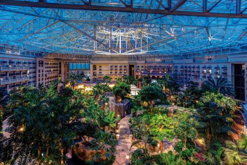 una grande serra con alberi e piante in esso di Gaylord Palms Resort & Convention Center a Orlando