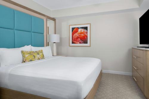 Gaylord Palms Resort & Convention Center photo 30