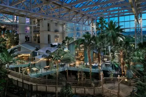 Gaylord Palms Resort & Convention Center photo 8