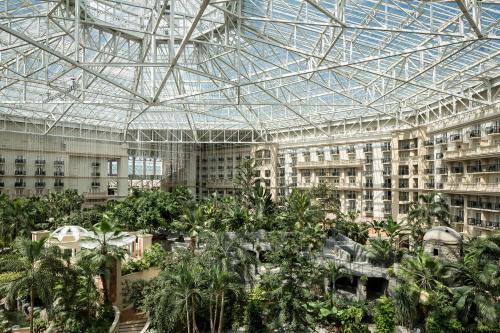 Gaylord Palms Resort & Convention Center photo 32