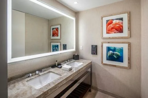 Gaylord Palms Resort & Convention Center photo 16