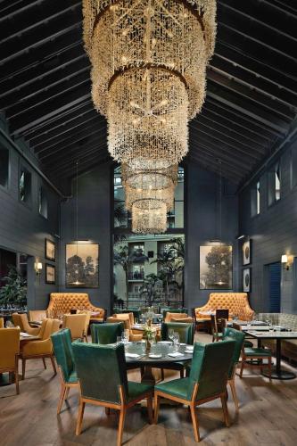 Gaylord Palms Resort & Convention Center photo 37
