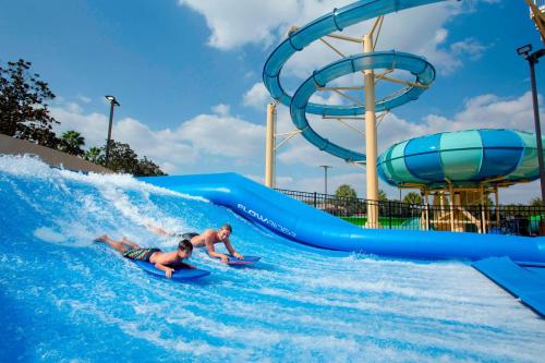 Gaylord Palms Resort & Convention Center photo 73