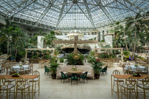 Gaylord Palms Resort & Convention Center photo 81