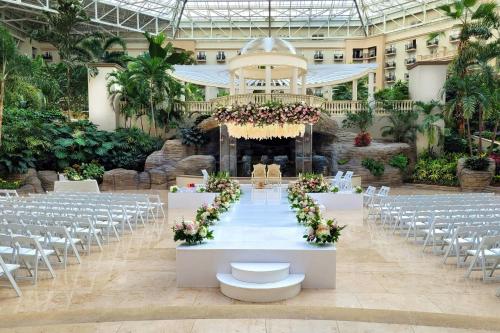 Gaylord Palms Resort & Convention Center photo 89