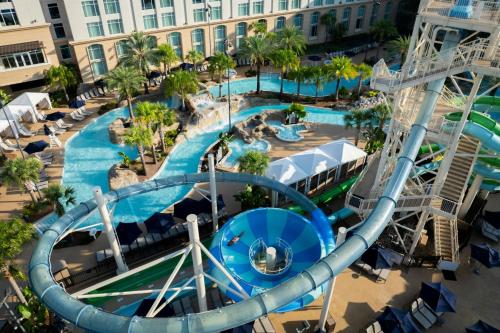 Gaylord Palms Resort & Convention Center photo 53