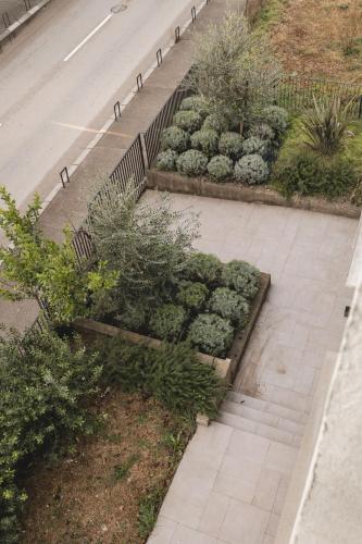 Un jardín con plantas al costado de una carretera. en Moon apartment 2, en Podgorica