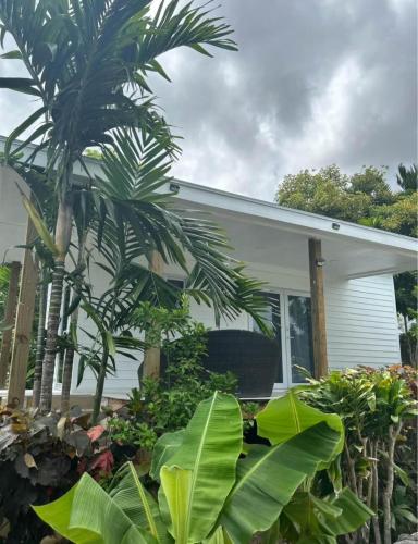 una casa con una palma di fronte di The Garden Oasis a Nassau