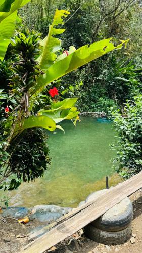 a pool of water next to a wooden bench at Hotel Restaurante LA AZOTEA in El Cerrito