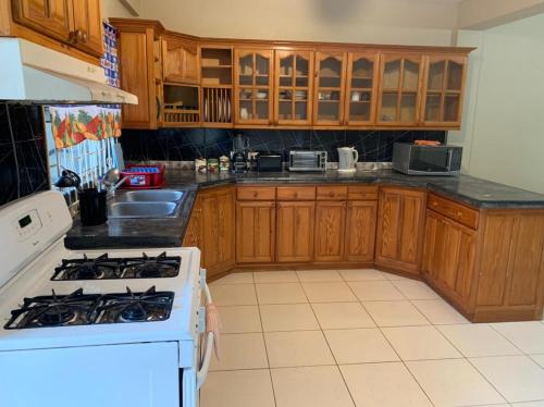 Kuchyň nebo kuchyňský kout v ubytování Diddy john aparrment rental property