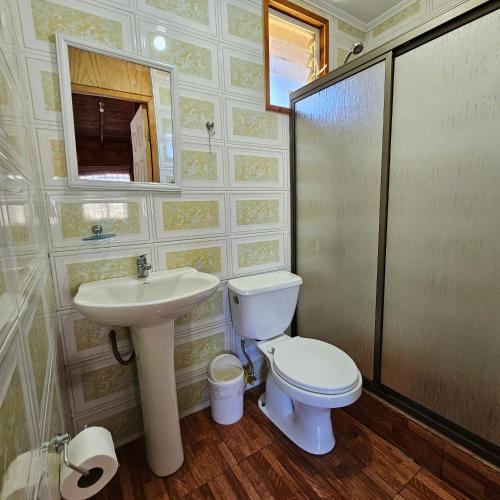 un baño con inodoro y lavabo en Cabaña Los Maquis, en Licán Ray