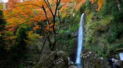 a waterfall on the side of a mountain at 朝食夕食付きで最高ランクの飛騨牛希少部位と地元野菜の炭火焼きを堪能できる宿ゲストハウスつぐや in Kurono