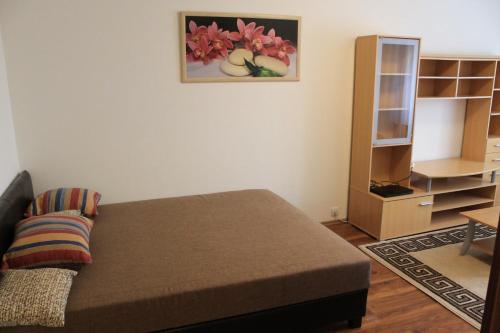 una camera con letto e libreria di Louis Apartment a Budapest