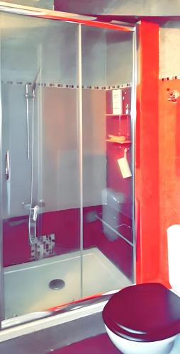 une salle de bain avec une douche en verre et des toilettes dans l'établissement Appartement charmant à Nice / 50 m² / Vue sur la ville, à Nice