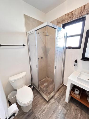 a bathroom with a shower and a toilet and a sink at Casa Olivo Encantador lugar en Centro Tequisquiapan 6p in Tequisquiapan