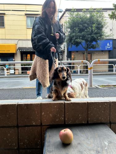 Mascotas con sus dueños en Lab8 Tokyo - Creative Coliving & Group Stay 6 Minutes to Shibuya Stay Play & Connect