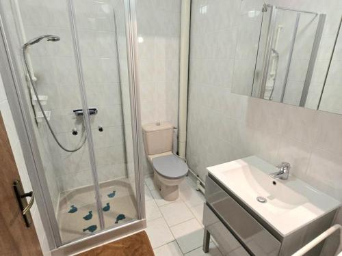 une salle de bains avec douche, toilettes et lavabo dans l'établissement Maison à Aubas: 2 chambres, animaux admis, parking - FR-1-616-185, à Aubas