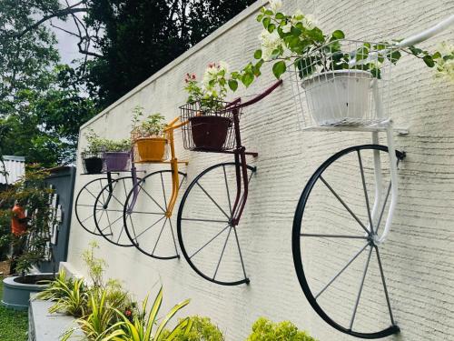 three bikes with potted plants hanging on a wall at Resolve Garden Hotel in Dodangoda
