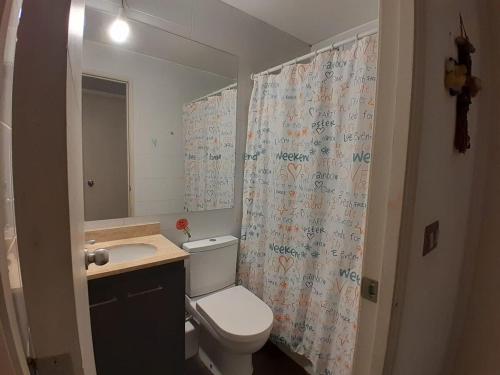 a bathroom with a toilet and a sink and a mirror at Departamento Equipado 3 Personas, 2 Habitaciones in Temuco