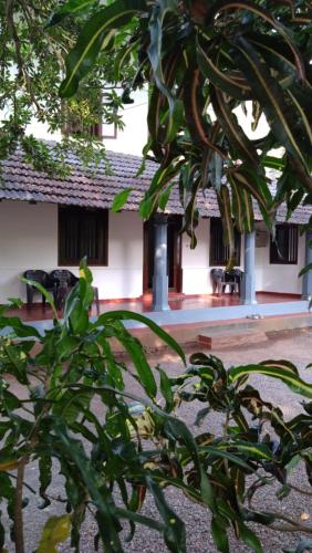 a view of a building from behind a tree at Perch Next door in Kannur