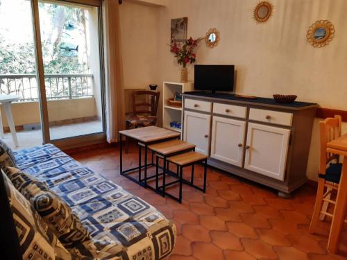 un salon avec un canapé, une table et une télévision dans l'établissement Appartement 2P, 4 pers, terrasse, parking, plage à 250m - Bormes-les-Mimosas - FR-1-251-853, à Bormes-les-Mimosas