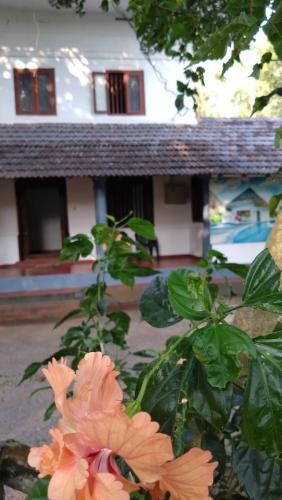 a plant with orange flowers in front of a house at Perch Next door in Kannur