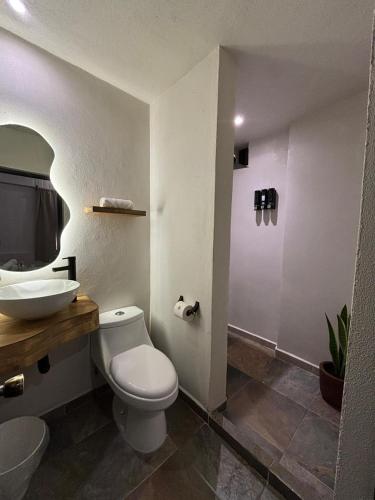 a bathroom with a white toilet and a sink at Hotel ALEIA Centro in Taxco de Alarcón