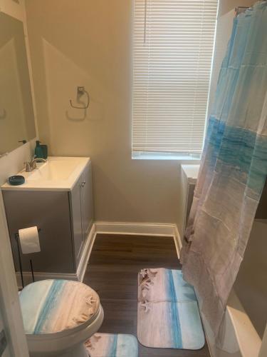 a bathroom with a toilet and a sink at Chic Retreat in Chicago