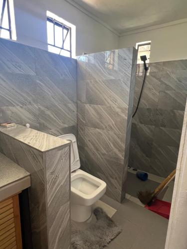 a bathroom with a shower and a toilet in it at Hebergement beau bassin in Beau Bassin