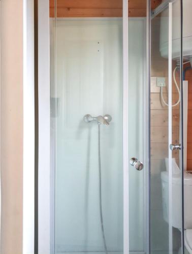 une douche avec une porte vitrée dans une salle de bain dans l'établissement Chalet charmant à Saint-Jean-du-Gard, à Saint-Jean-du-Gard
