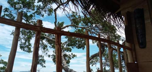 a view of a tree from a building at Mamba Yala in Tissamaharama