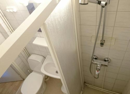 a small bathroom with a toilet and a shower at Guesthouse Golden Goose in Kittilä