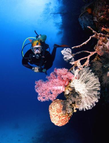 a diver in the water next to a coral reef at Amun Ini Beach Resort & Spa in Anda