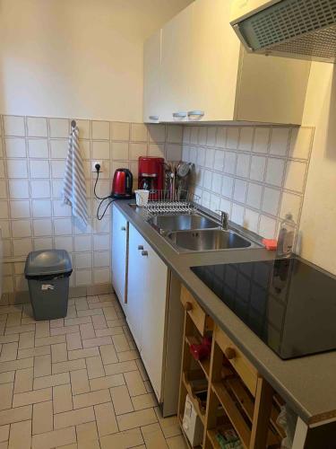 une cuisine avec un évier et un plan de travail dans l'établissement T2 Toulouse proche Zenith, à Toulouse