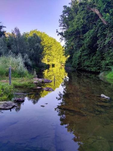 a river with a reflection of trees in the water at Poppies Clunes in Clunes