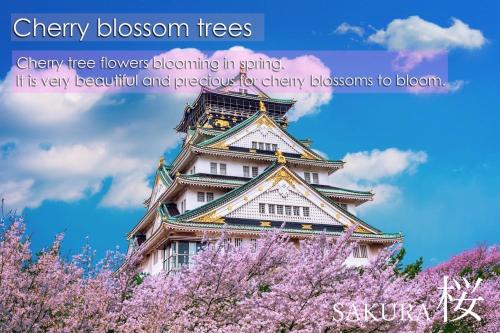 guesthouse今里