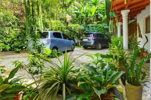 two cars parked in front of a house with plants at Rawana Mount View - Ella in Bandarawela