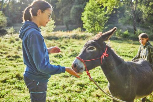 a young girl feeding a small horse at Le Moulin de Pensol - Bed and Breakfast in Pensol