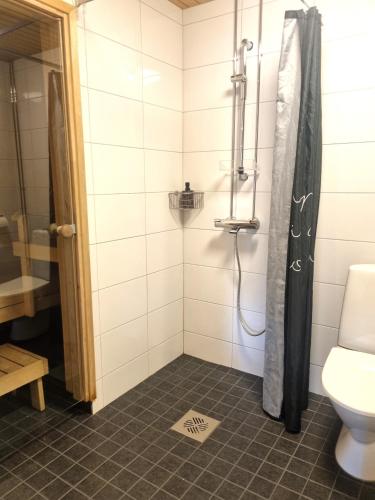 a bathroom with a shower and a toilet at Wanha Neuvola Apartment in Pieksämäki