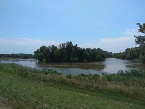a river with trees on the side of it at Orgona Vendégház in Murakeresztúr