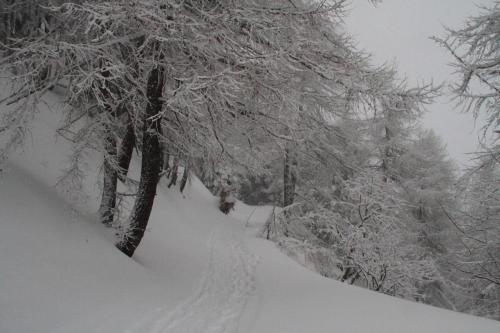Το Chaberton & wood view τον χειμώνα