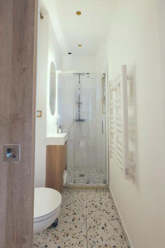 une salle de bain avec une douche, des toilettes et un lavabo dans l'établissement BRISA Arcachon - T1 Bis au Coeur d 'Arcachon, à Arcachon