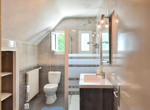 a bathroom with a toilet and a sink and a mirror at Maison spacieuse et conviviale à Saint-Alban avec jardin in Saint-Alban