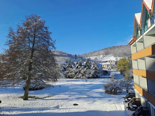 Το Waldhotel Bärenstein τον χειμώνα