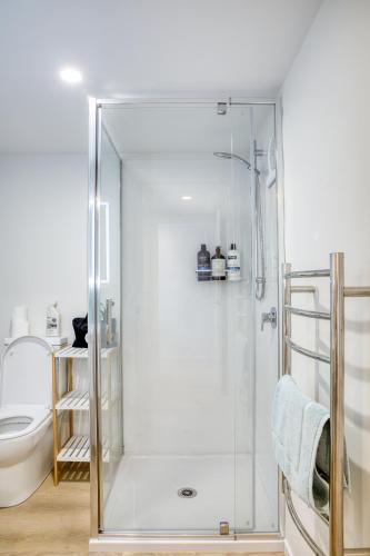 a bathroom with a shower and a toilet at Classy Modern Unit close to Airport, Shops and Bus in Christchurch
