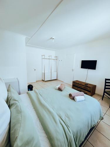 a bedroom with a large bed and a television at City Central Self-catering in Windhoek