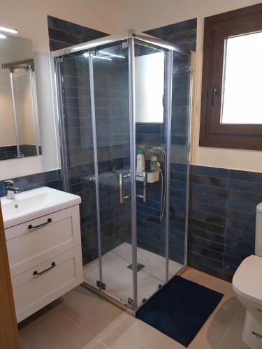 a bathroom with a shower with a sink and a toilet at Tábara, a orillas del río in Soto del Barco